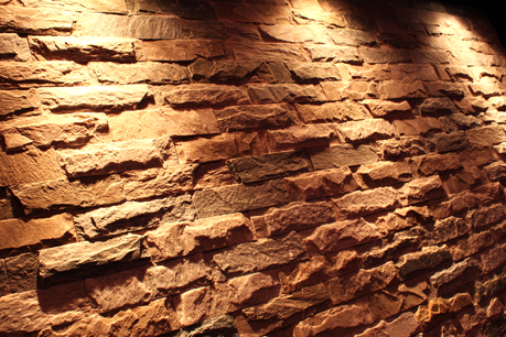 Fusion Shop Interior